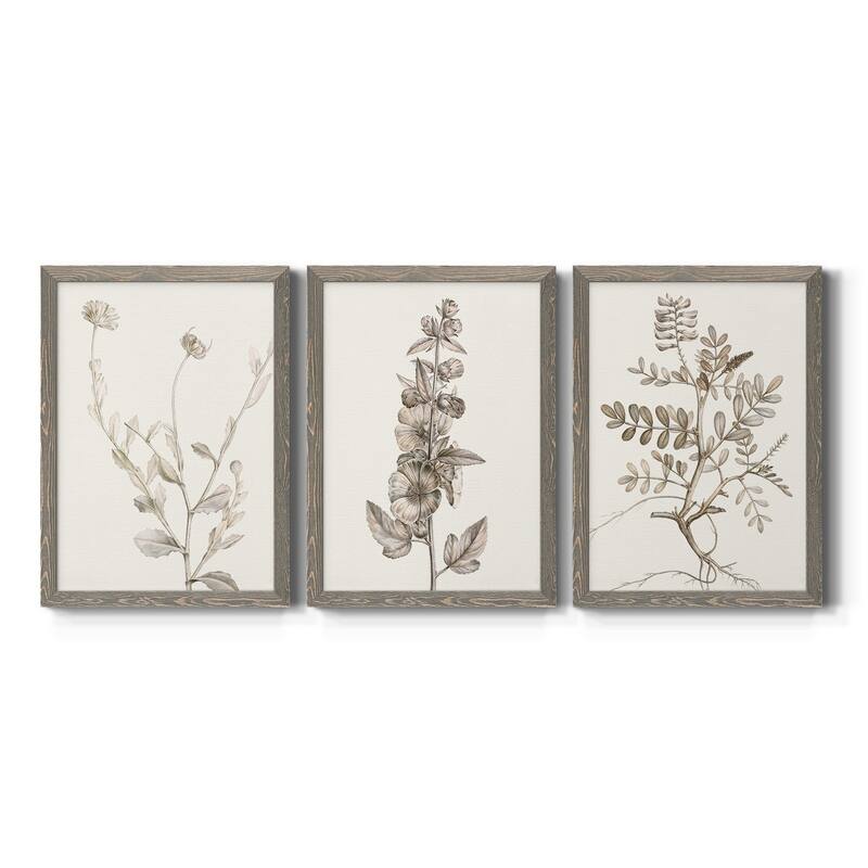 Neutral Botanical Study IV-Premium Framed Canvas - Ready to Hang - Multi-Color - 30.5X42.5 - Grey