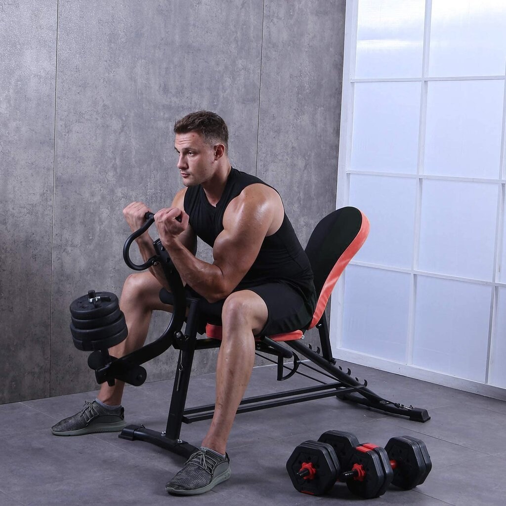 Zenova adjustable weight bench store