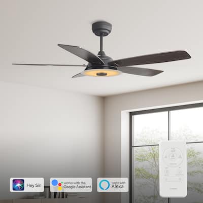 CARRO 52" 5-Blade Indoor/Outdoor Smart Ceiling Fan with Lights