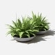preview thumbnail 61 of 110, Mason Series Lane Bowl Planter