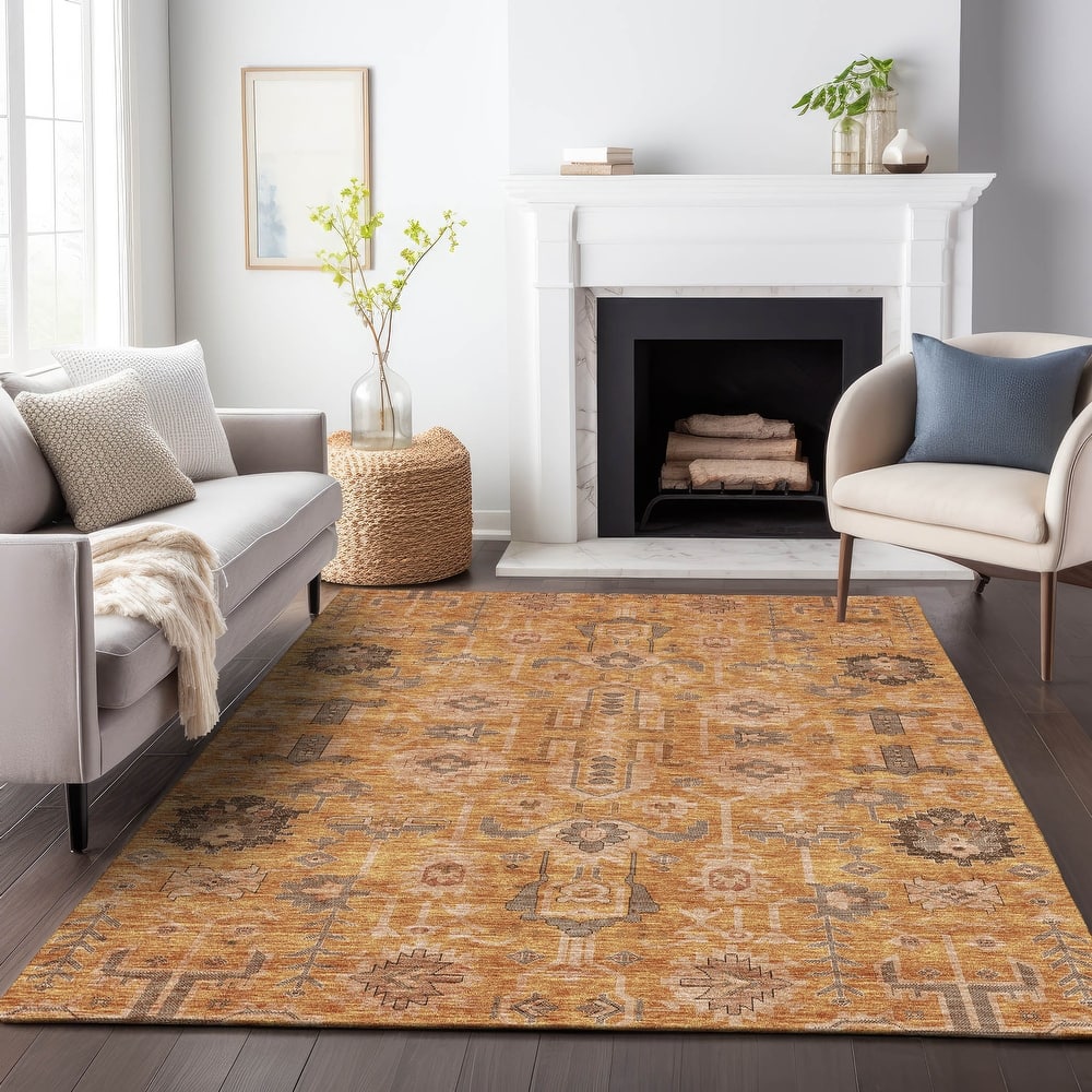 Premium Washable Super Soft Traditional Global Mayfield Rug