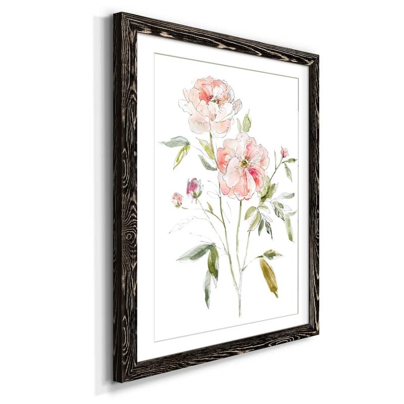 Sketchbook Cottage Rose I-Premium Framed Print - Ready to Hang