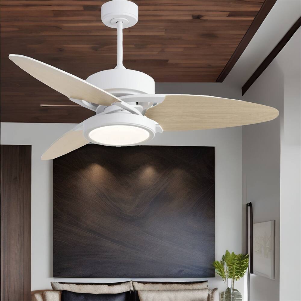Wood Ceiling Fan with Lighting