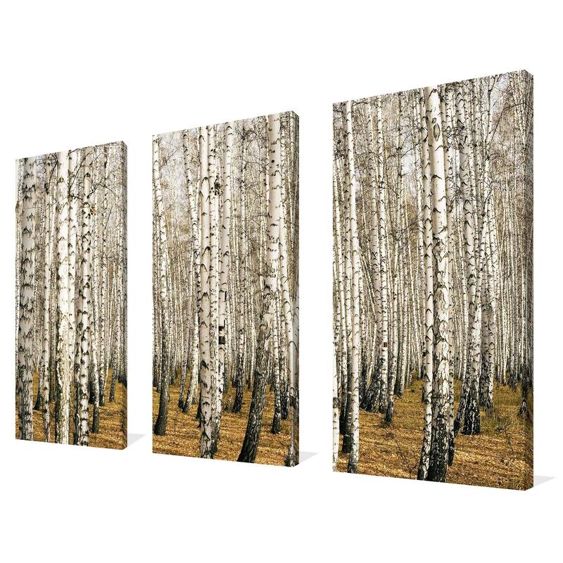 "Birch Trees 3" 3 Piece Set on Canvas