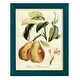 preview thumbnail 27 of 138, Printed Tuscan Fruits IV -Framed Print w/glass-Cherry Red 9x11 - Blue