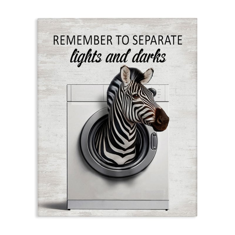 Stupell Separate Lights & Darks Laundry Canvas Wall Art Design By Lettered and Lined - 16 x 20
