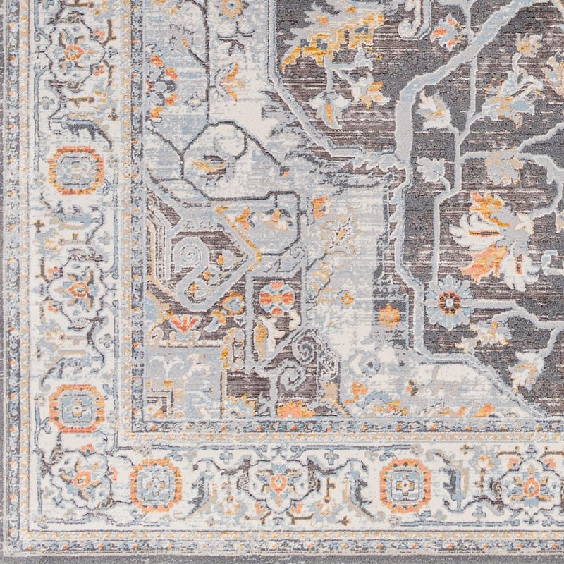 Livabliss Hassler Traditional Medallion Area Rug
