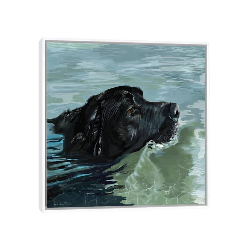 iCanvas "Black Lab Swimming" by Vicki Newton Framed Canvas Print - White - 26x26
