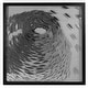 preview thumbnail 1 of 2, HUJI Fish Whirlpool Shadow Box Wall Decor