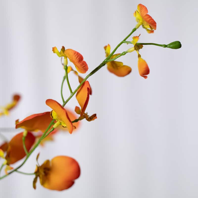Orange-yellow Silk Decorative Artificial Dancing Lady Orchid(Pack of 1 Branch)