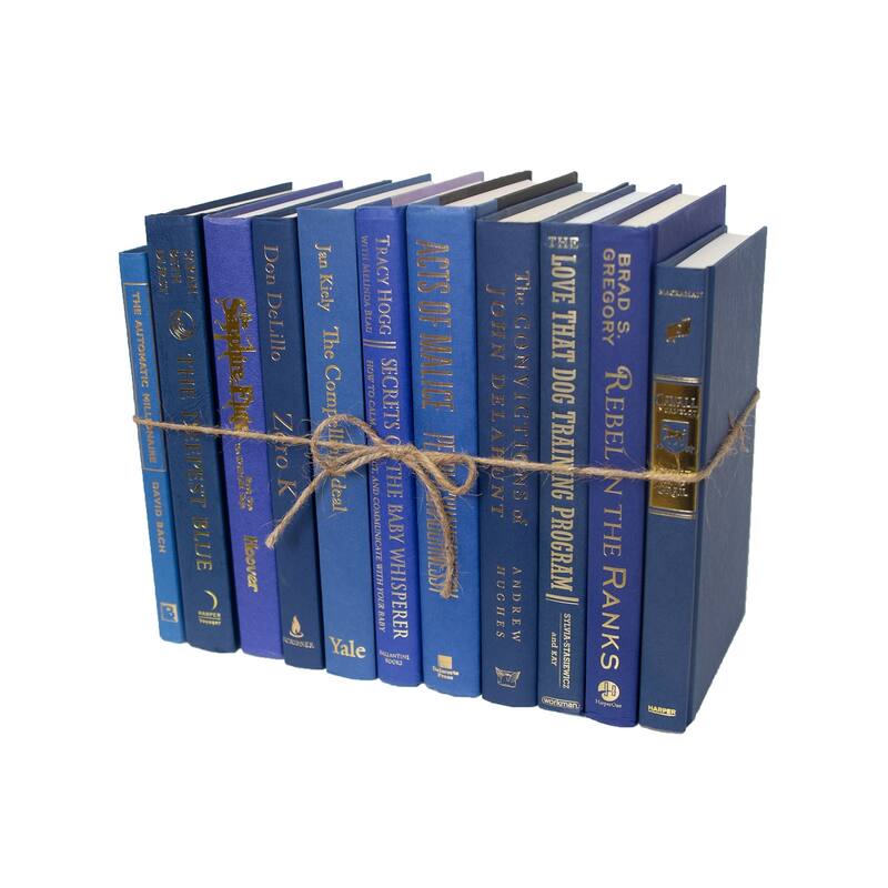 Books Blue Decorative Accessories: Denim & Gold ColorPak