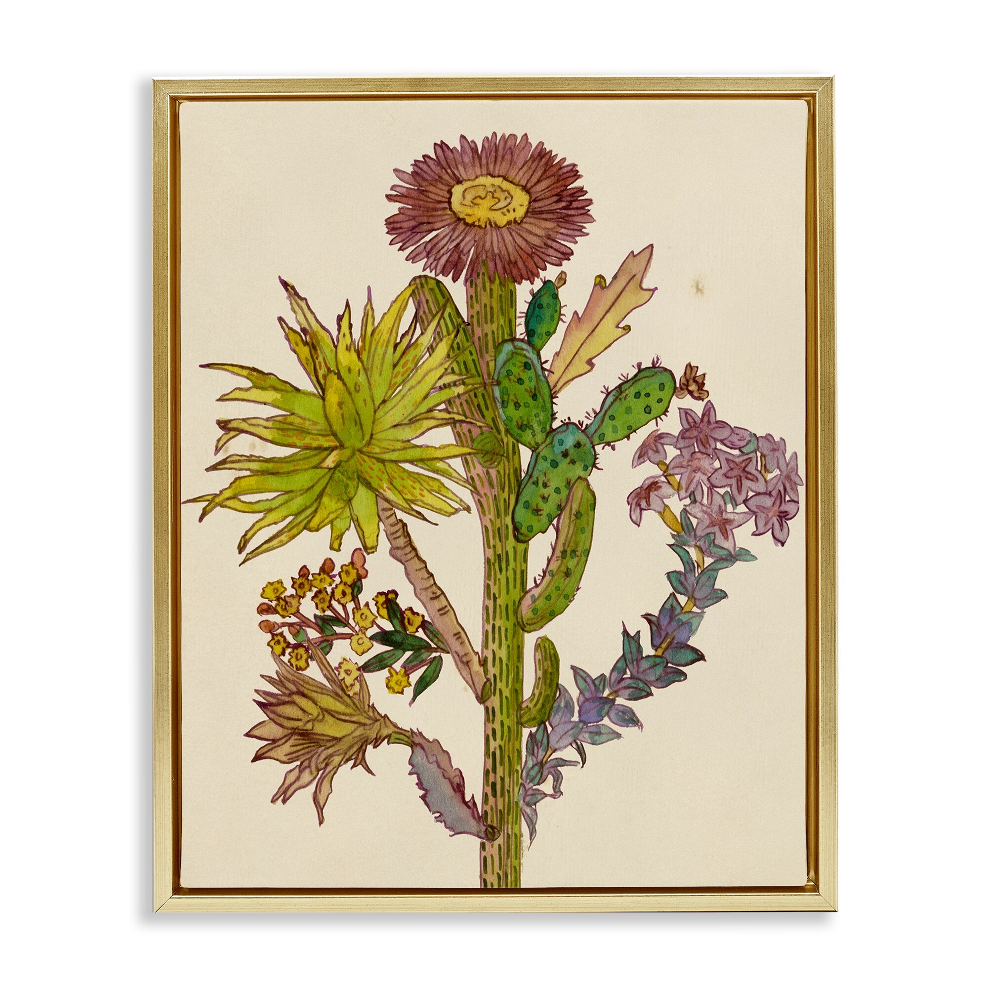 Stupell Neon Desert Blooms Framed Floater Canvas Wall Art Design By Melissa Wang