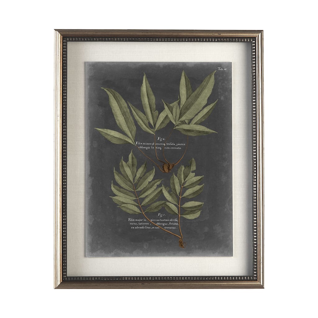 Foliage Dramatique IV Framed Art Print