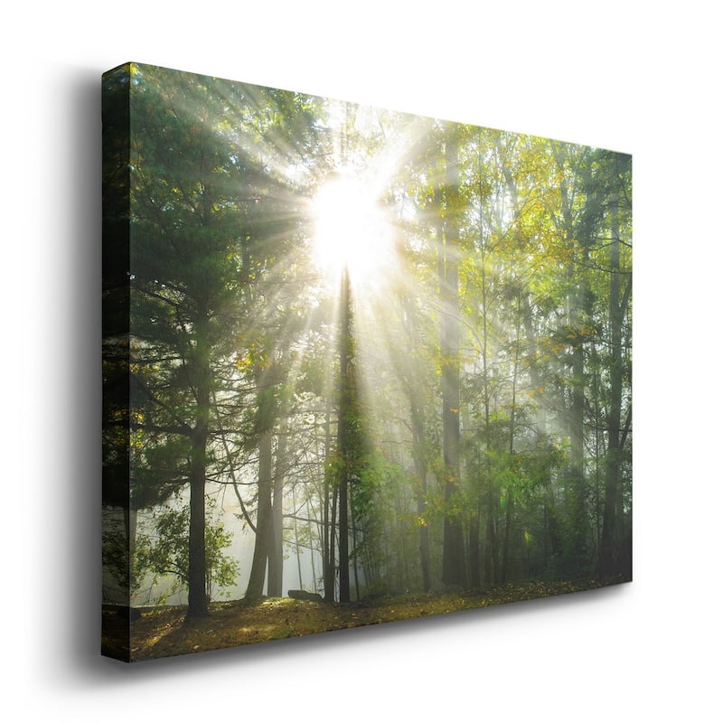 Light and Trees II Premium Gallery Wrapped Canvas - Ready to Hang