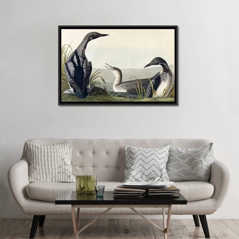 iCanvas "Black-throated Diver " by John James Audubon Framed Canvas Print