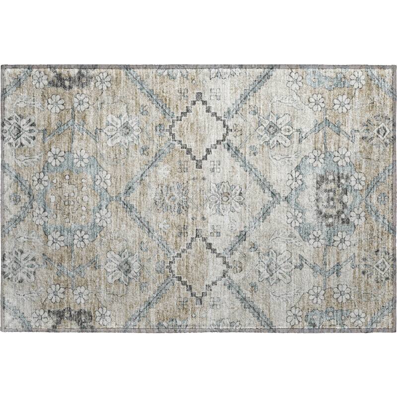 Premium Washable Super Soft Boho Global Mayfield Rug