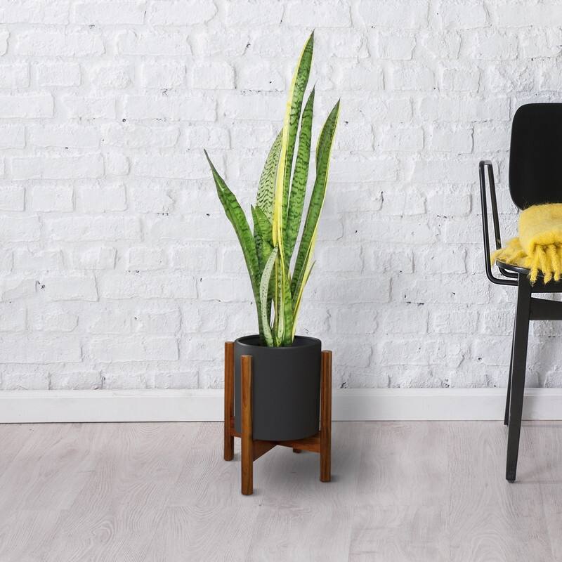 Mid-Century Modern Wood Plant Display Stand (Stand Only)