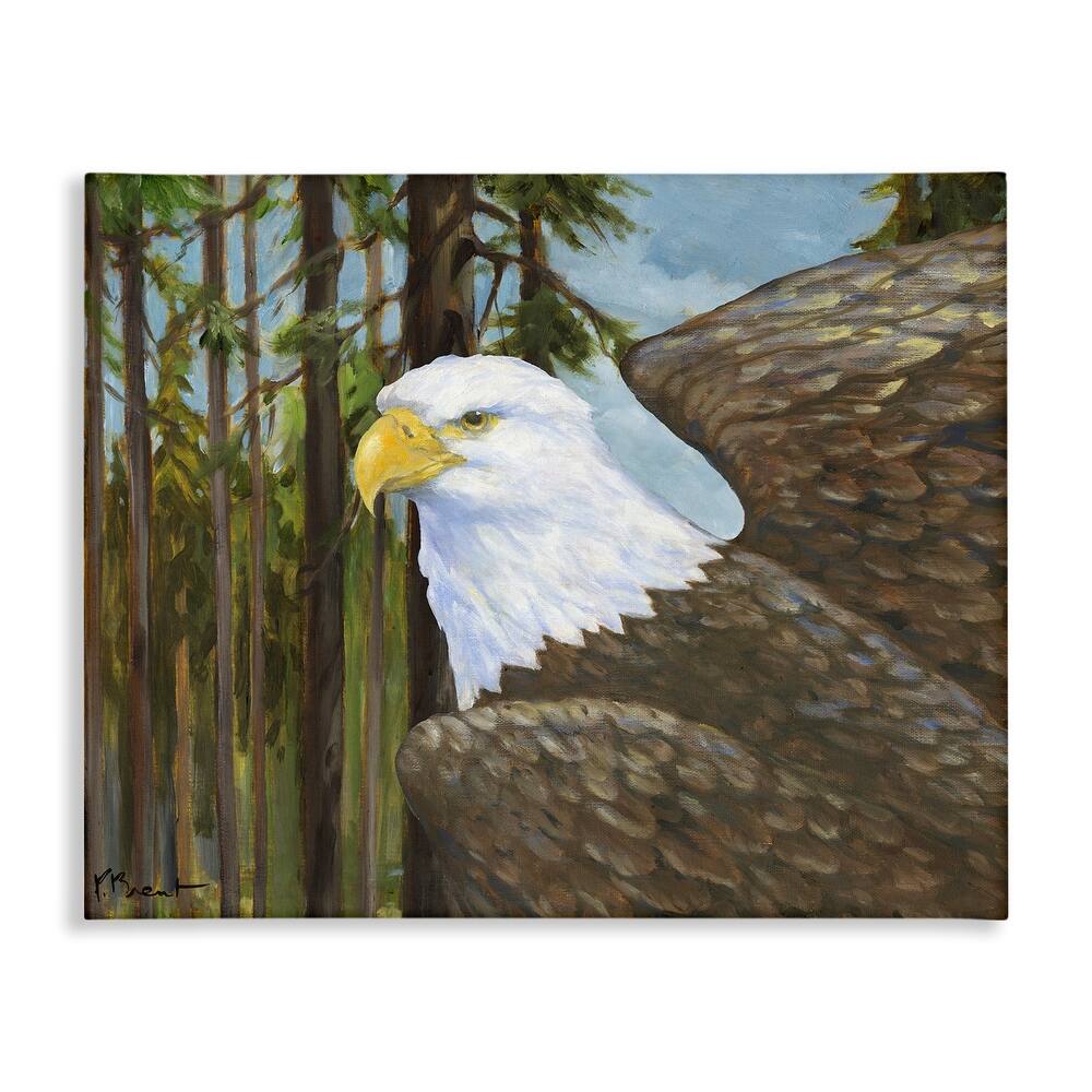 Stupell Woodland Eagle's View Canvas Wall Art Design By Paul Brent