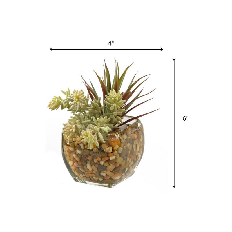 HomeStock Yucca Succulent in Glass Cube - Sleek Faux Plant for Contemporary Decor - 6