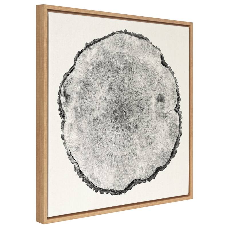 Kate and Laurel Sylvie Rings Framed Canvas by Emiko and Mark Franzen
