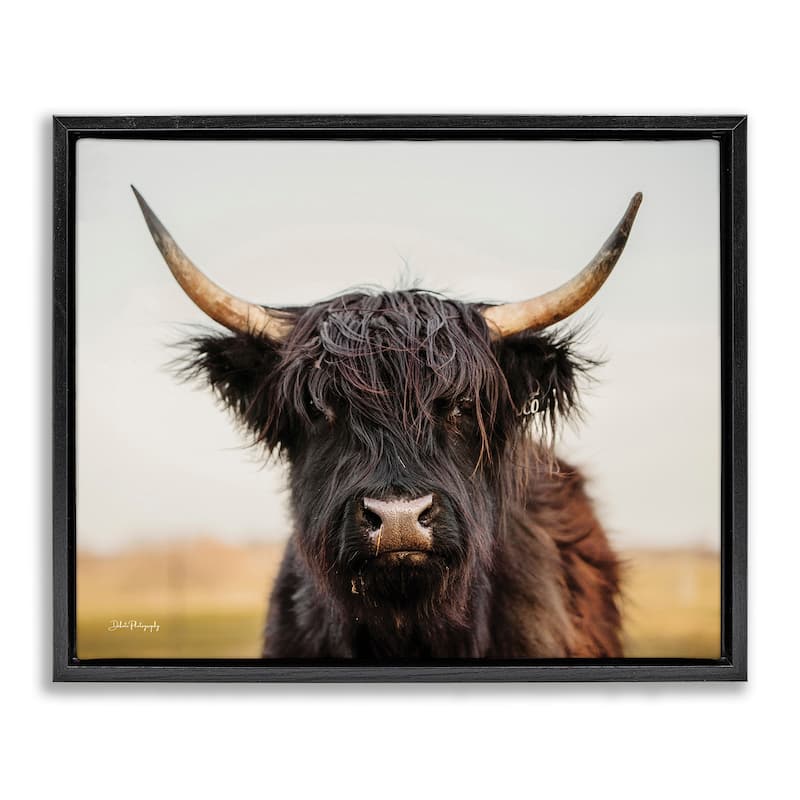 Stupell Black Highland Cow Portrait Framed Floater Canvas Wall Art Design by Dakota Diener