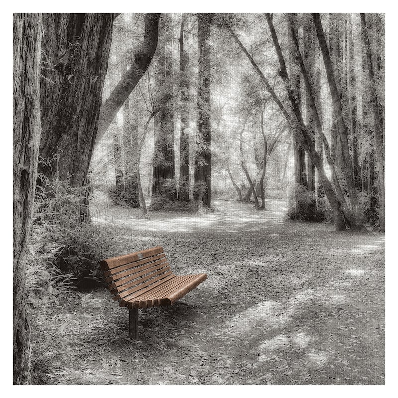 Old Mill Park by Alan Blaustein Canvas Art Print