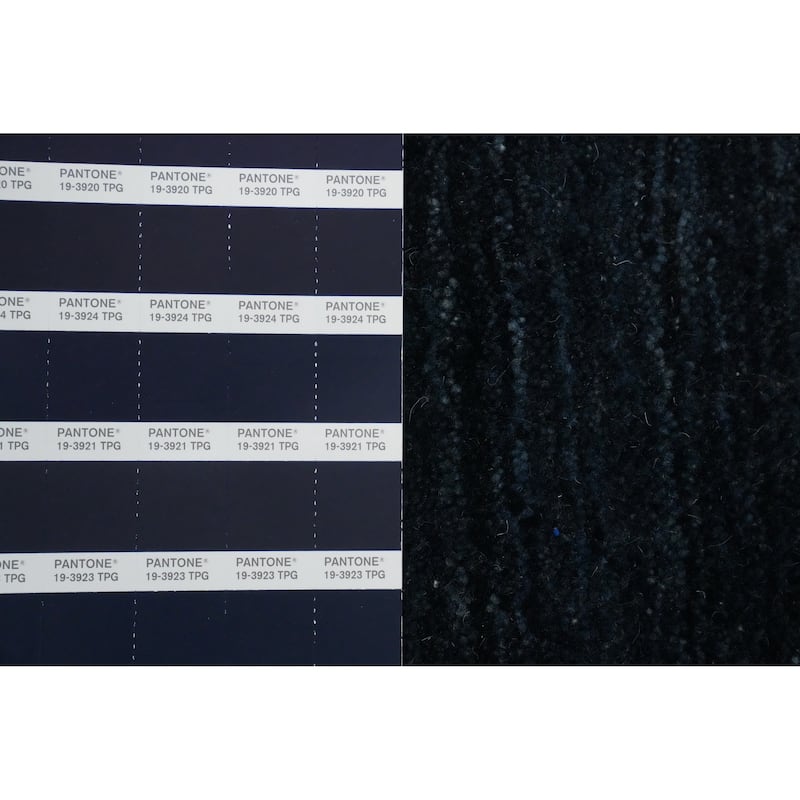 Hand Knotted Oriental 100% Wool Carpet Tribal Animal Pictorial Navy Blue & Blues Gabbeh Area Rug - 9' 9'' X 8' 1''
