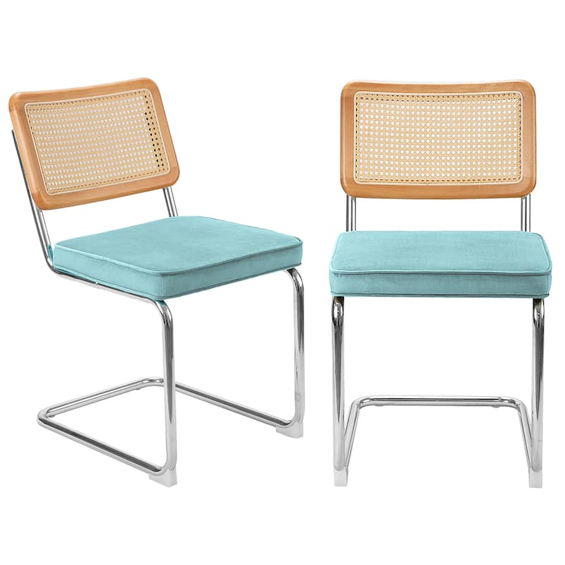 Cozywor Outdoor Upholstered Ratten Dining Side Chairs with Cushion (Set of 2)