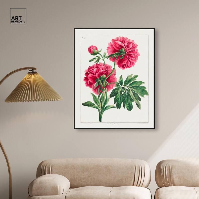 Double Peony (1789) Canvas by Art Remedy