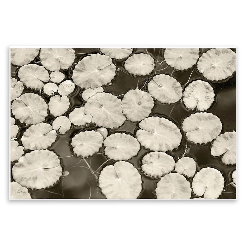 Stupell White Floating Lily Pads Wall Plaque Art Design By Lori Deiter - 19 x 13