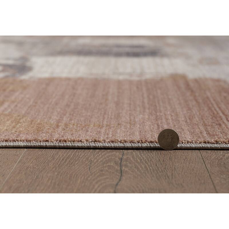 Domani Andrews Contemporary & Abstract in Blush Area Rug