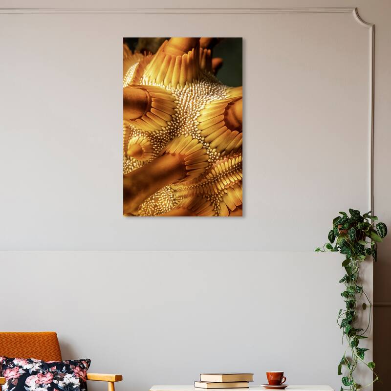 Wynwood Studio Canvas Animals David Fleetham - Rough Spined Urchin Orange and Amber Nautical & Coastal Wall Art Canvas Print - 30 x 20