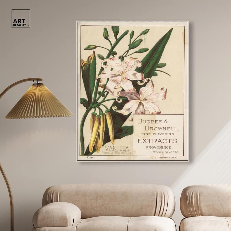 Vanilla Planifolia Canvas by Art Remedy