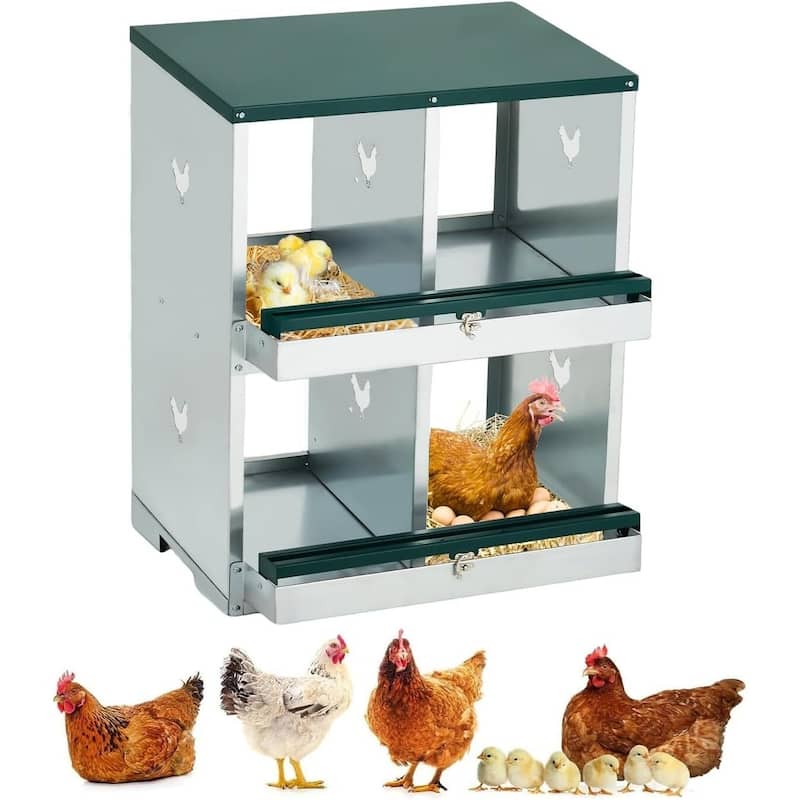 Wall-Mount or Free-Standing Metal Chicken Nesting Box for Backyard Coops, Green - Green 4 Compartments