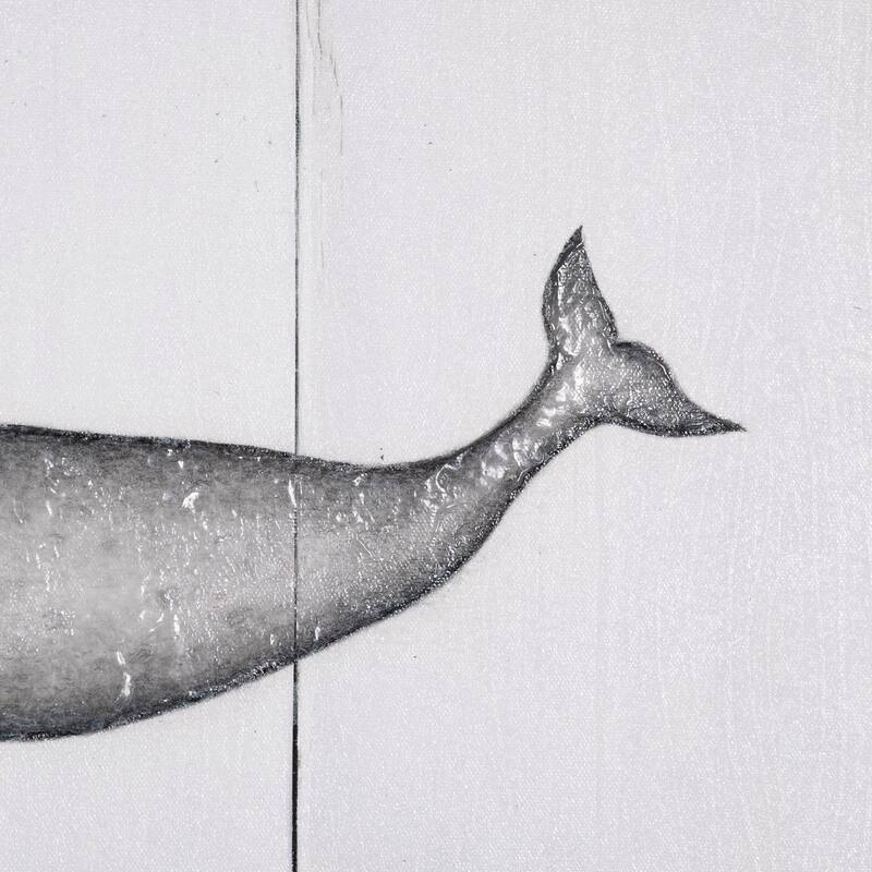 Narwhal (26 x 20) Canvas Art Print