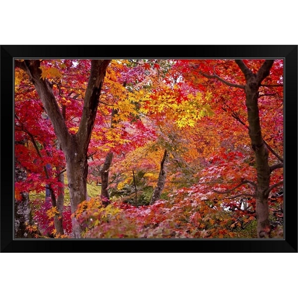 "Japanese maple trees." Black Framed Print
