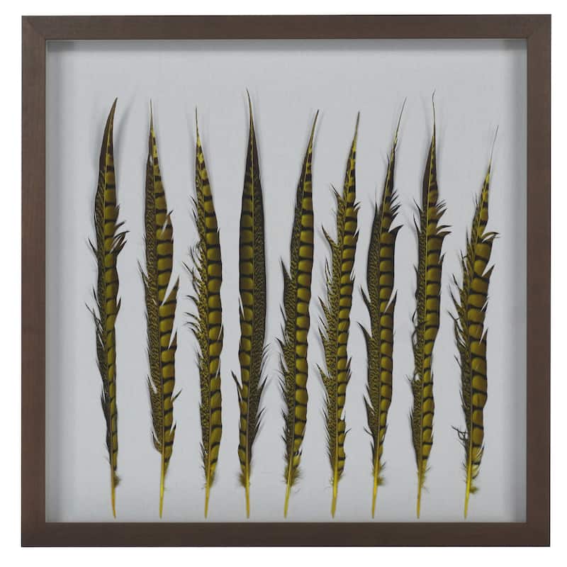 HUJI Golden Pheasant Feather Shadow Box Wall Decor - 23.6"x23.6"