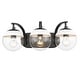 preview thumbnail 7 of 57, Carbon Loft Barton Clear Glass and Steel 3-light Bath Vanity