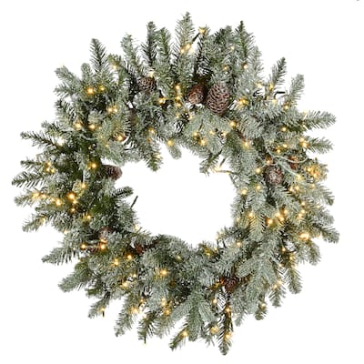 National Tree Company 2 ft. Snowy Morgan Spruce Wreath with Dual Color LED Cosmic Lights - 2 ft