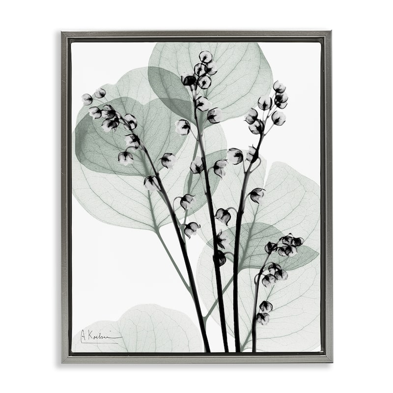 Stupell Fresh Minimalist Herbs Framed Floater Canvas Wall Art Design By Albert Koetsier - 25 x 31 - Grey