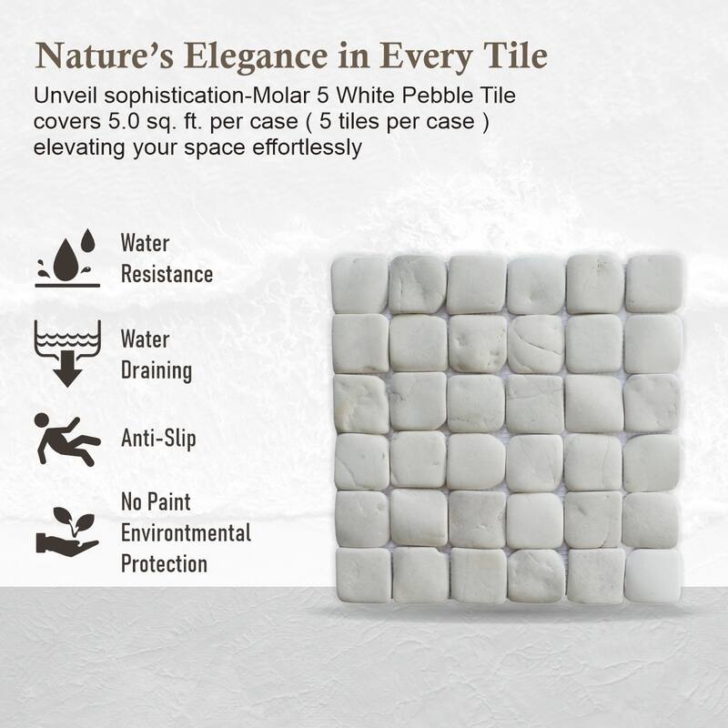 Molar 5 White Pebble Mosaic Tiles for Backsplash Kitchen and Bathroom Wall (12" X 12") 5 tiles per case - Case (5 Tiles)