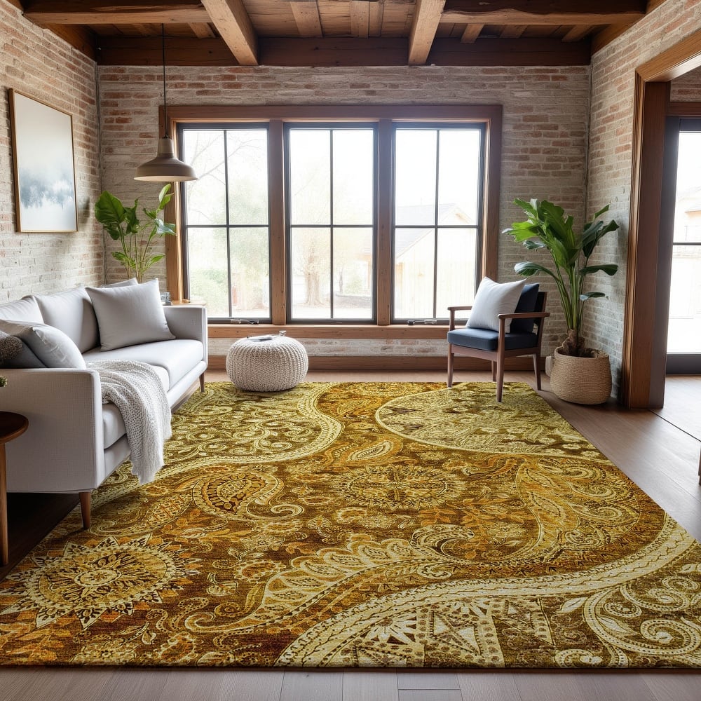 Premium Washable Super Soft Modern Paisley Mayfield Rug