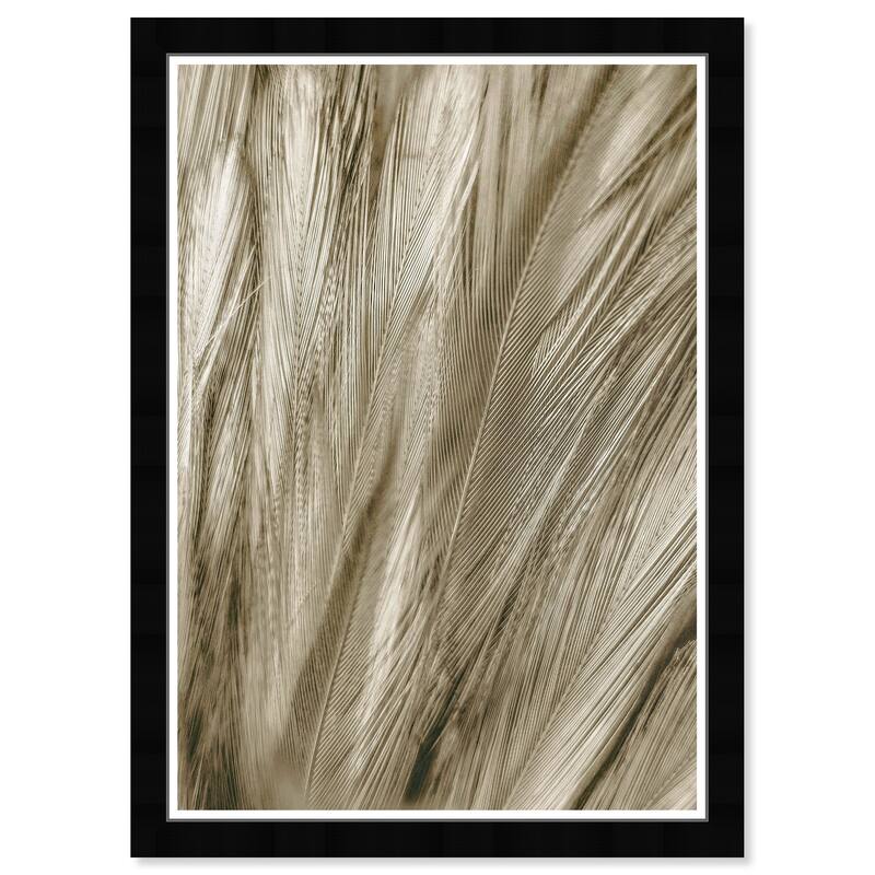 Wynwood Studio Prints Animals Feather Close Up Gold and Metallic Gold Modern & Contemporary Wall Art Canvas Print