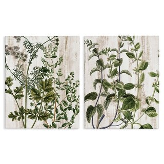 Stupell Aged Botanical Leaves Canvas Wall Art Design By Kim Allen (Set ...