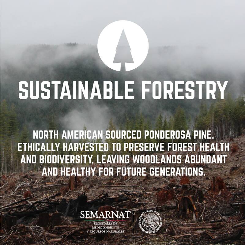 PIPE DECOR Solid Live Edge Wood Console Table with Industrial Pipe Legs