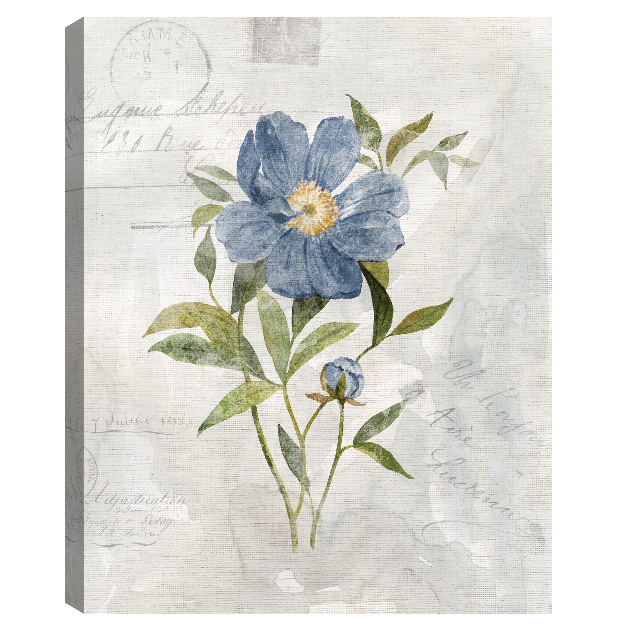 Blue Linen Peony by Carol Robinson Canvas Art Print
