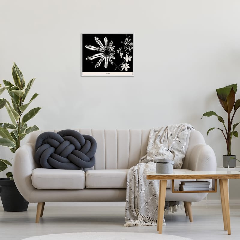 Stupell Ferns & Leaves on Black Framed Giclee Art Design By Phillipa Katz