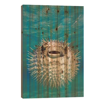 Close-Up Of A Puffer Fish, Bahamas Print On Wood by Panoramic Images - Multi-Color