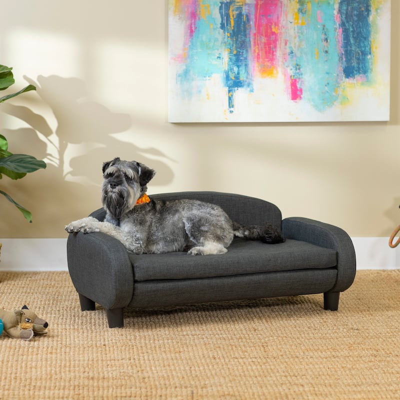 Paws & Purrs Modern Pet Sofa Bed Low-Back Lounger for Dogs & Cats – Removable Washable Mattress Cover - Medium - Dark Grey