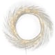 Reese 24-inch Pre-lit Warm White LED Christmas Wreath by Christopher Knight Home - Dove Glitter